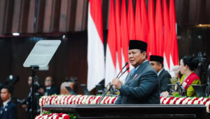 images6